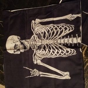 2 Halloween pillow covers. NWOT